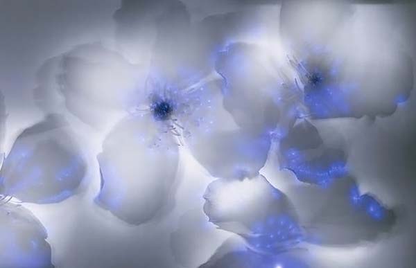 Растения под электричеством (15 фото)