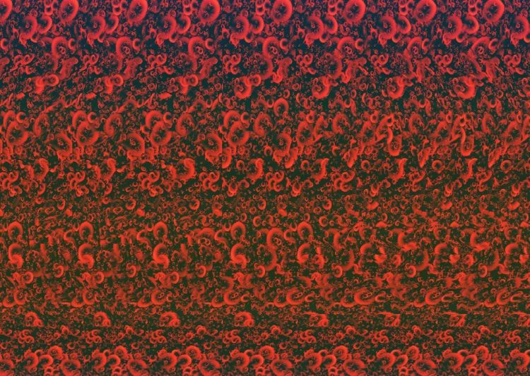 Стерео-картинки (30 штук)