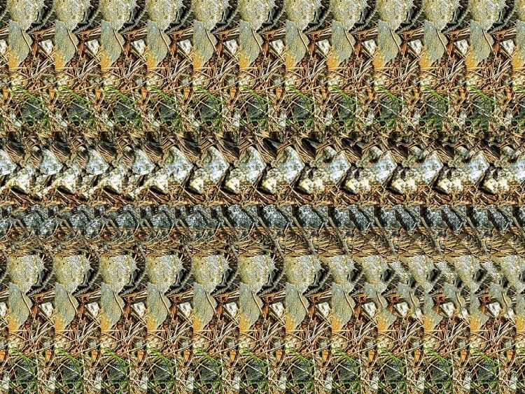 Стерео-картинки (30 штук)