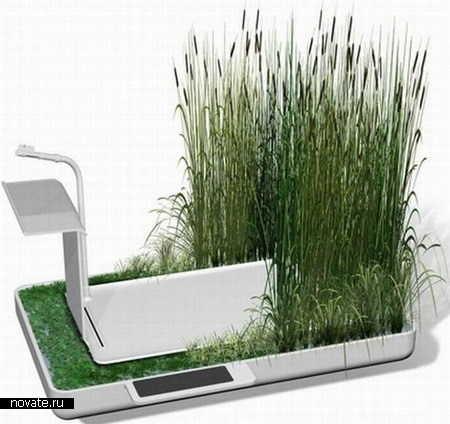 И душ, и сад